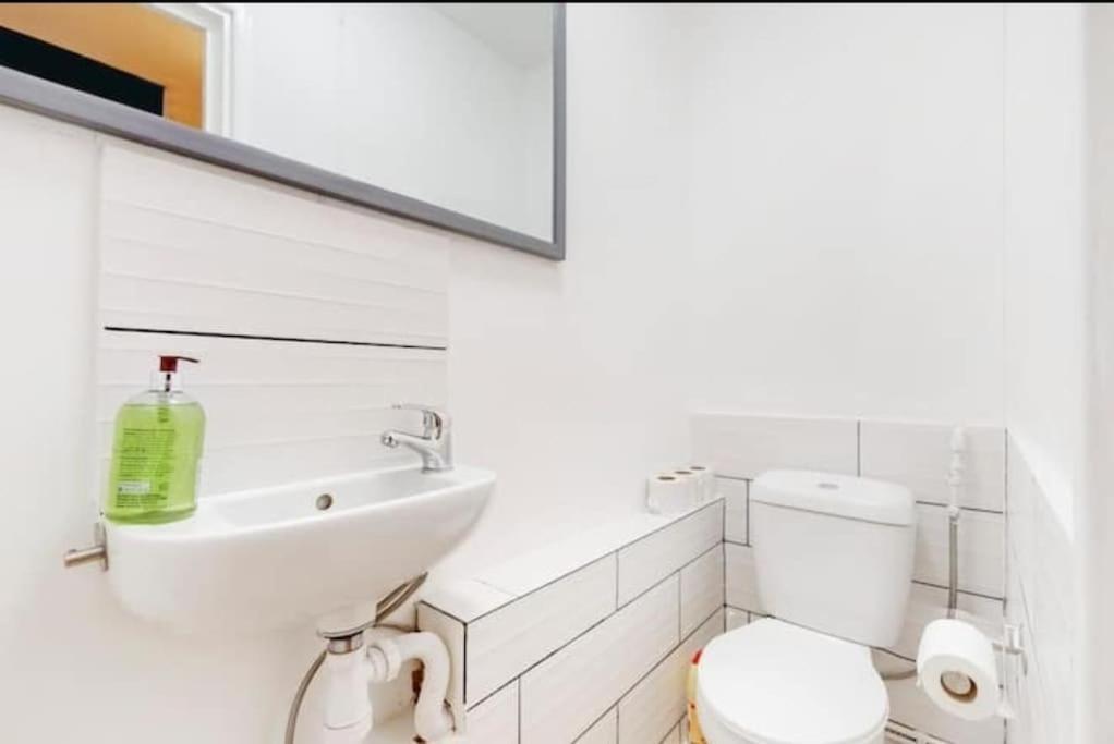 Modern 4 Bedroom In Kings Cross With Garden Case de vacanță